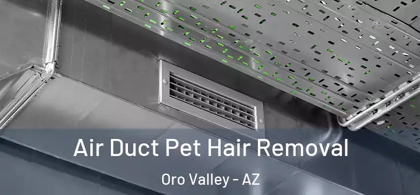  Air Duct Pet Hair Removal Oro Valley - AZ