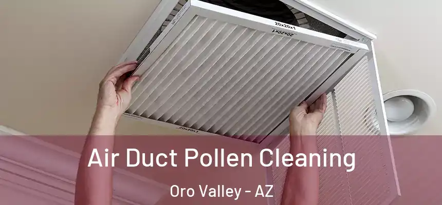  Air Duct Pollen Cleaning Oro Valley - AZ