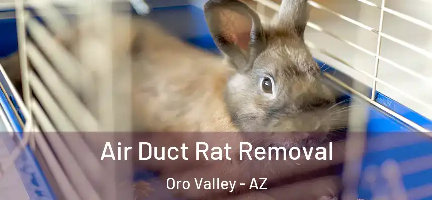  Air Duct Rat Removal Oro Valley - AZ