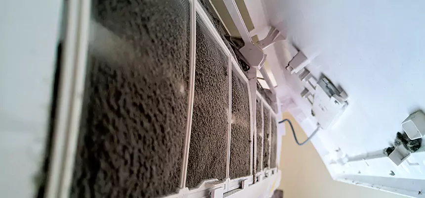 Preventive Air Duct Bacteria Removal in Oro Valley