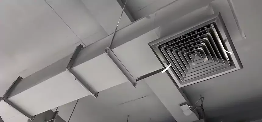 Our Pest Removal From Ducts Services in Oro Valley, AZ