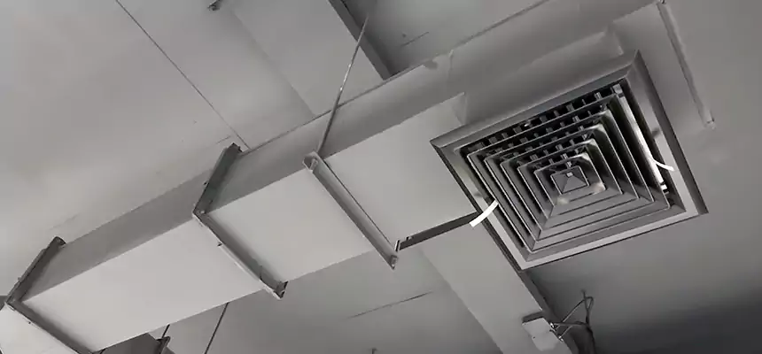 Our Rodent Droppings In Vents Services in Oro Valley, AZ