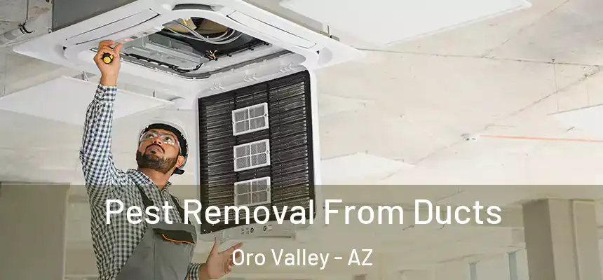  Pest Removal From Ducts Oro Valley - AZ