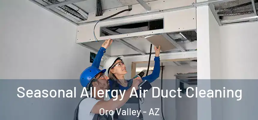  Seasonal Allergy Air Duct Cleaning Oro Valley - AZ