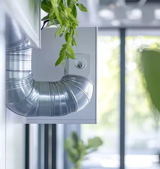 Professional Eco-Friendly Duct Cleaning Services in Oro Valley, AZ