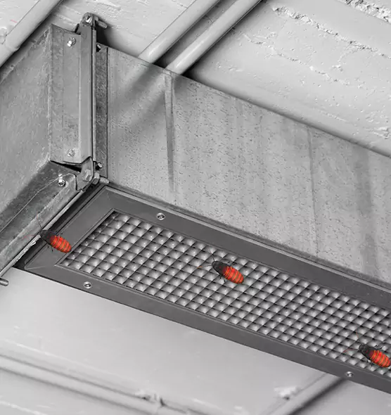 Affordable Insect Removal from Air Ducts in Oro Valley, AZ