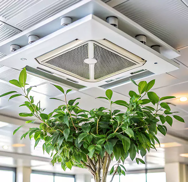 Why Homeowners & Businesses Trust Us in Oro Valley, AZ