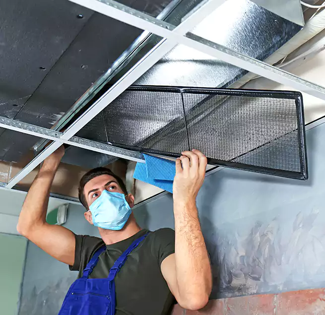 Why Homeowners Businesses Trust Us in Oro Valley, AZ